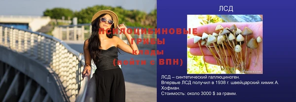 молекула духа Баксан