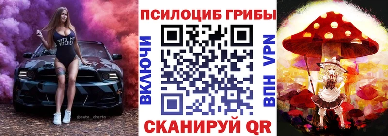 Галлюциногенные грибы Magic Shrooms  Черногорск 