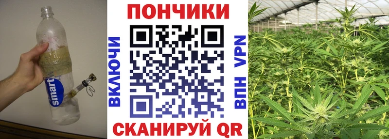 где продают   Черногорск  Канабис SATIVA & INDICA 
